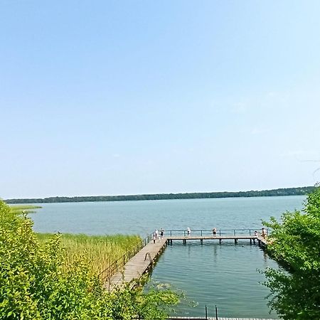 Apartament Moje Dabrowno Zewnętrze zdjęcie