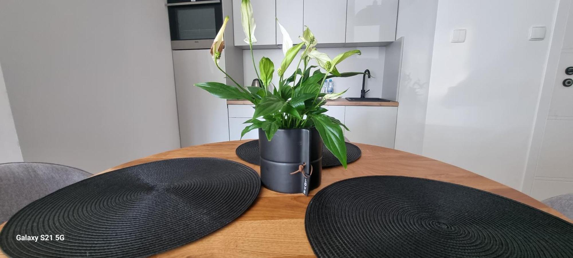 Apartament Moje Dabrowno Zewnętrze zdjęcie
