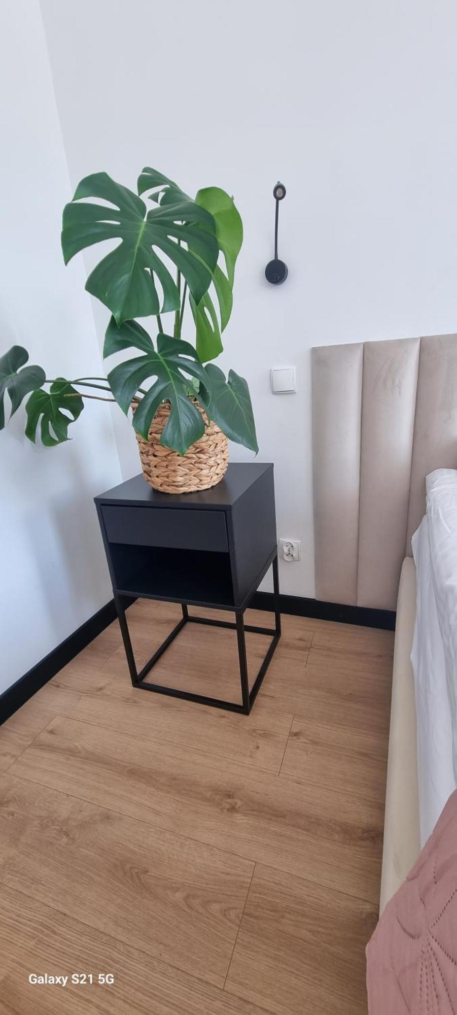 Apartament Moje Dabrowno Zewnętrze zdjęcie