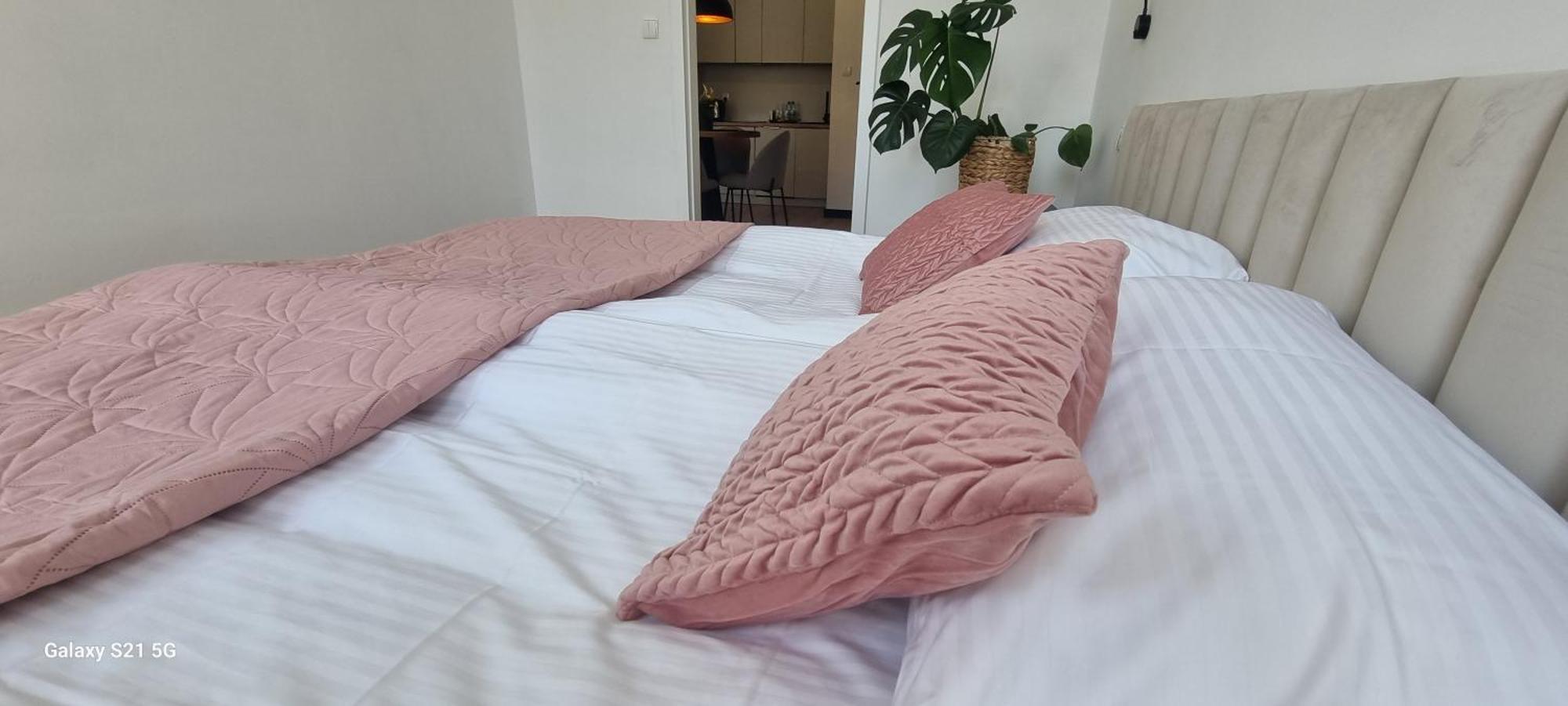 Apartament Moje Dabrowno Zewnętrze zdjęcie
