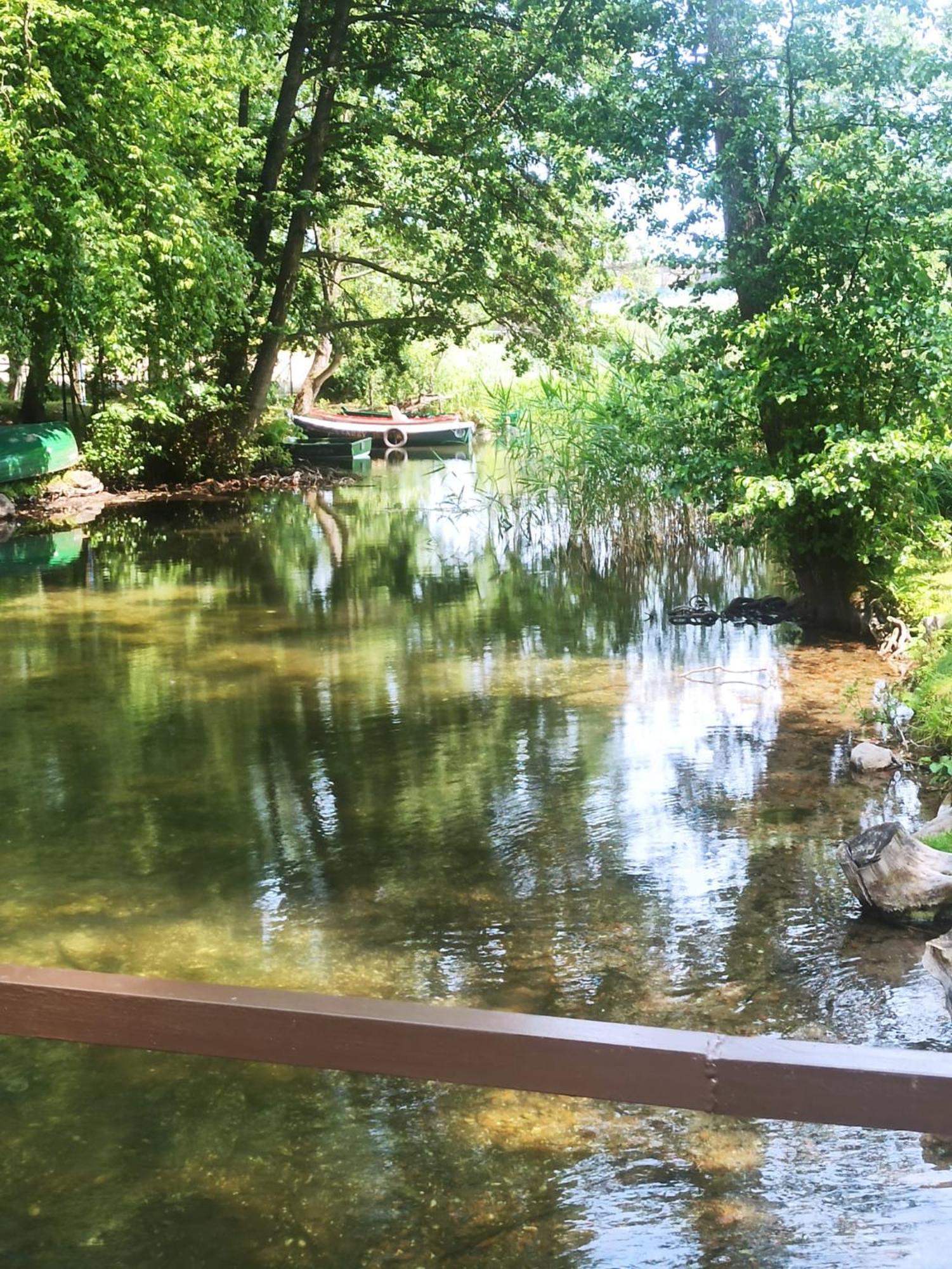 Apartament Moje Dabrowno Zewnętrze zdjęcie
