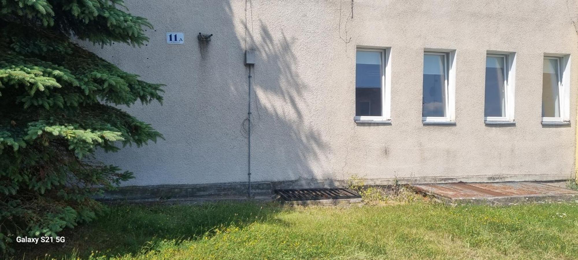 Apartament Moje Dabrowno Zewnętrze zdjęcie